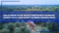 ED Targoviste