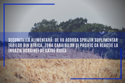 ED Targoviste