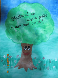 ED Targoviste