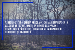 ED Targoviste